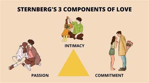 sternberg s triangular theory of love psychopedia psychology coaching and research training