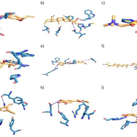 Interactions Of The Chemical Constituents Of Medicinal Plants With Aces