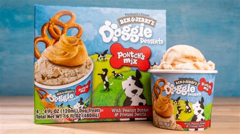 Ben And Jerrys Launches New Frozen Desserts For Dogs