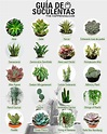 Lista 105+ Foto Lista De Plantas Plantas Acuaticas Con Nombres En ...