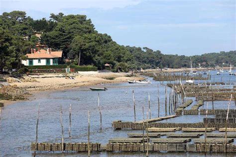 bassin d arcachon ségolène royal officialise la création du parc naturel marin la république