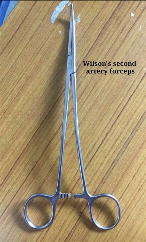 Artery Forceps Uses Hot Sex Picture