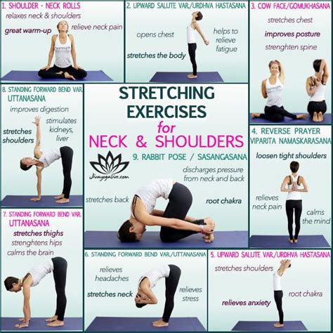 Yoga Exercise For Neck And Shoulder Pain Infographic Neck Exercises