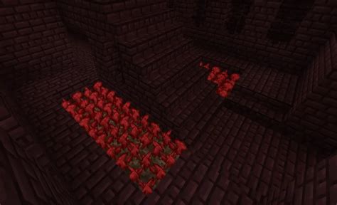 Minecraft Nether Wart How To Make It Grow Faster