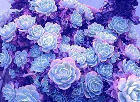 Maybe you would like to learn more about one of these? backgrounds? image by Hailey Moore | Lavender aesthetic ...