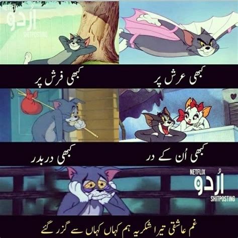Poetry Ft Tom And Jerry 😂 Me Quotes Funny Urdu Funny Quotes Real