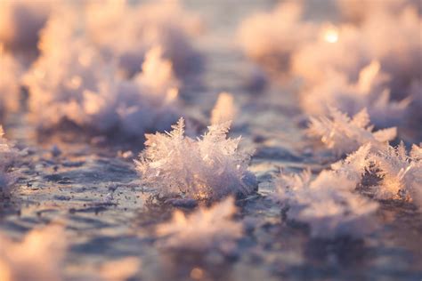 Listen to forecast listen to local weather forecasts for frost warnings during vulnerable periods of the growing season in order to take proactive steps to protect your plants and flowers from a freeze. Best Time to See Frost 'Flowers' in Finland 2021 - When to ...