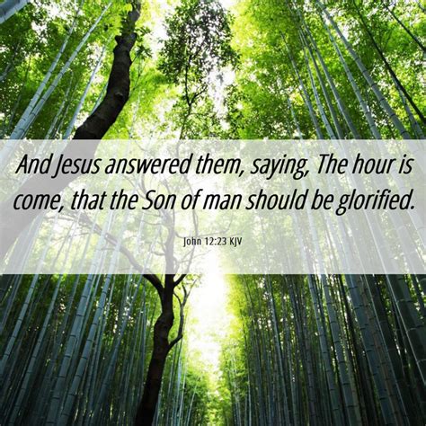 John 1223 Kjv And Jesus Answered Them Saying The Hour Is