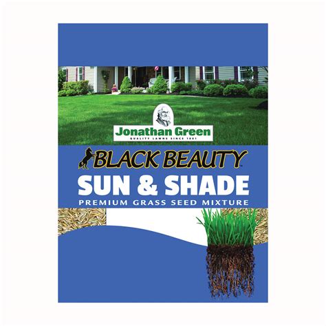 Buy Jonathan Green Black Beauty Grass Seed Lb Bag