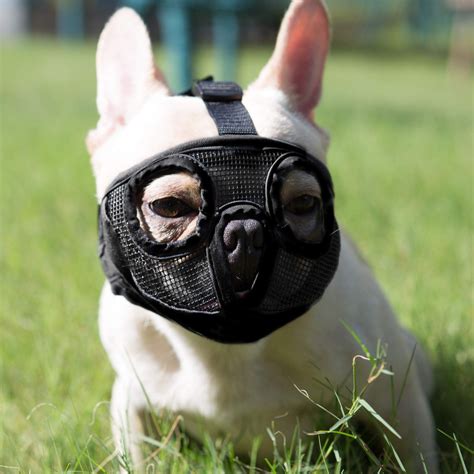 Jyhy Short Snout Dog Muzzles Adjustable Breathable Mesh Bulldog Muzzle