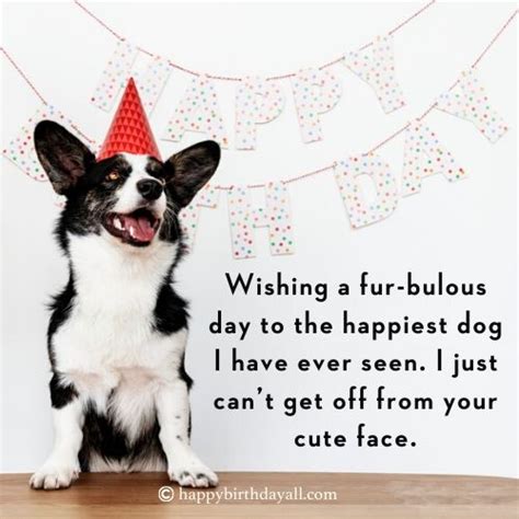 40 Super Cute Happy Birthday Wishes For Dog With Images