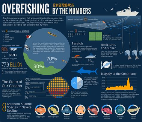 Overfishing Infographic Growpurpose Network