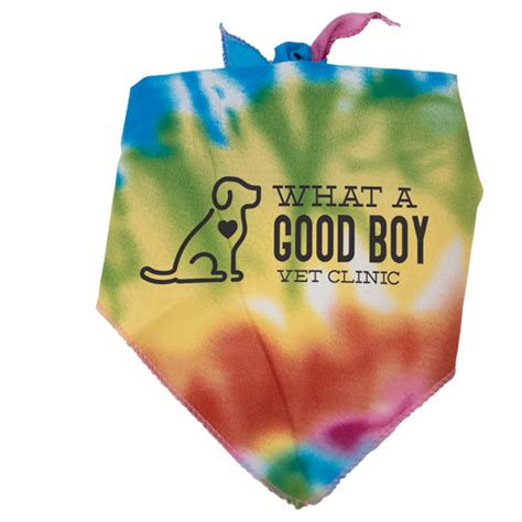 Tie Dye Triangle Bandana