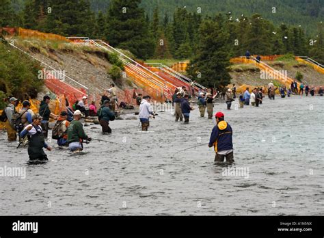 At Confluence Of The Russian And Kenai Rivers Hi Res Stock Photography