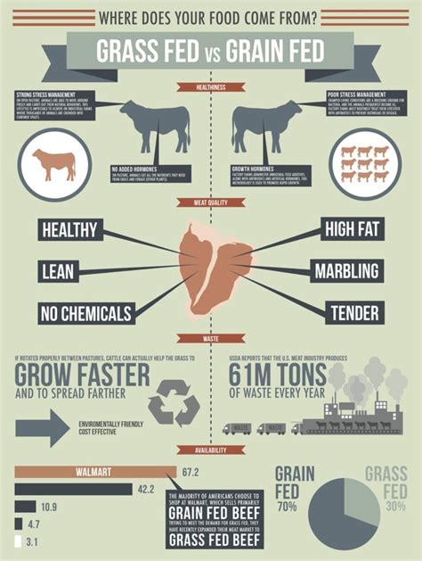 What Are The True Nutrient Benefits Of Grass Fed Beef Howpark Farms