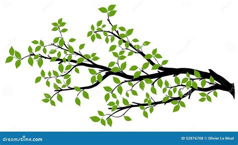 Tree Branch Silhouette Vector Graphics Stock Illustration Image