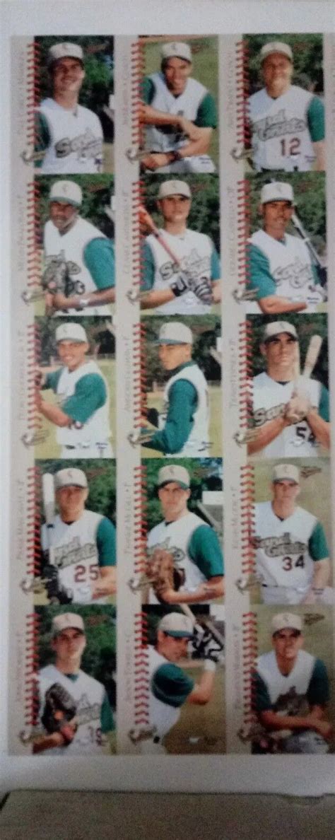 Rare Savannah Sand Gnats Uncut Sheet Players Baseball Cards Ebay