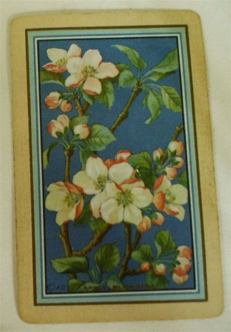 Vintage Swap Playing Card Us Narrow Named Cherry Blossomusnn1card