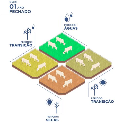 Suplementação Bovina No Período De Transição De Seca águas