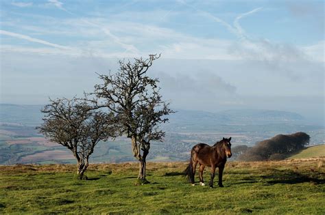 Discover The Beauty Of The Quantock Hills Visitexmoor