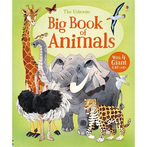 Big Book Of Animals Science From Early Years Resources Uk