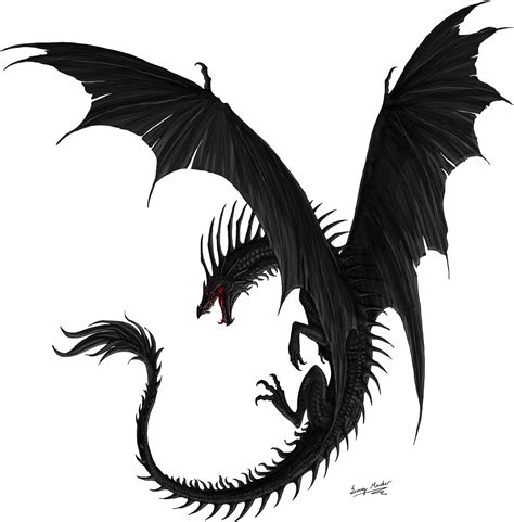 Black Dragon Png Image Background Png Arts