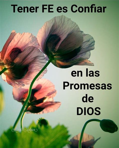 Se trata de promesas que están en la biblia y en ellas dios nos dice que esta con nosotros y nos y dijo: TENER FE ES CONFIAR EN LAS PROMESAS DE DIOS | God, Poster ...