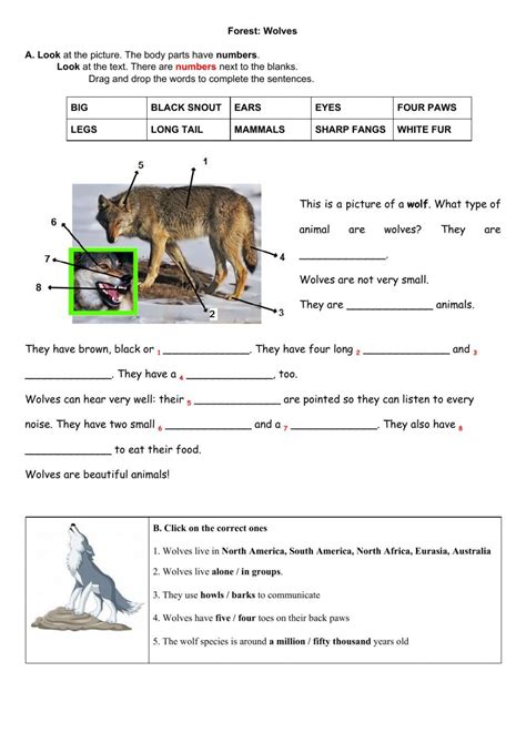 Project Forest Wolves Worksheet Wolf Online Regular And Irregular