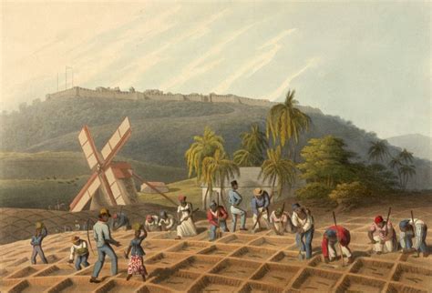 Empire And Slavery In The Caribbean Through The 19th Century