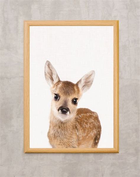 Deer Poster Printable Poster Digital Download Baby Animal Woodland