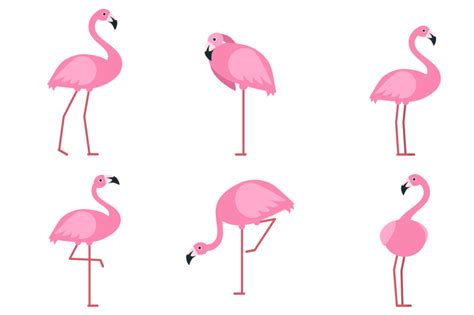 Cartoon Pictures Of Exotic Pink Bird Flamingo Vector