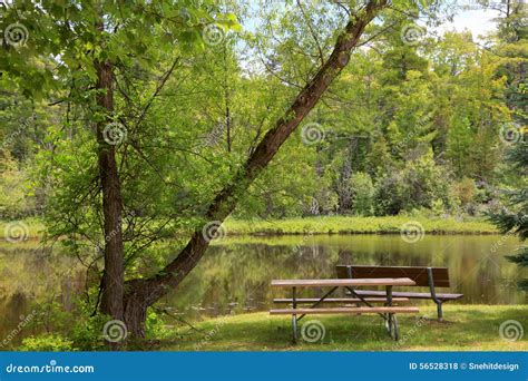 Young State Park Stock Photo Image Of Lake Green Rural 56528318