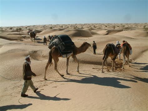 Excursion Sahara Tunisie Tataouine Matmata Toujane Douz Tozeur