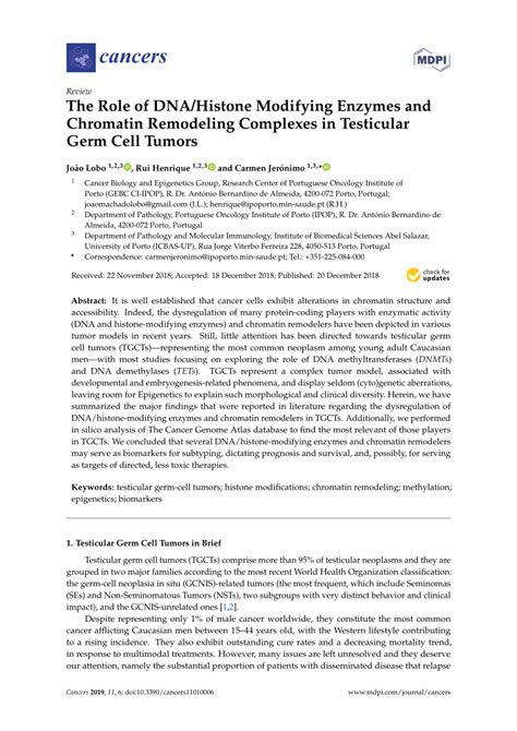 pdf the role of dna histone modifying enzymes and chromatin remodeling complexes in testicular