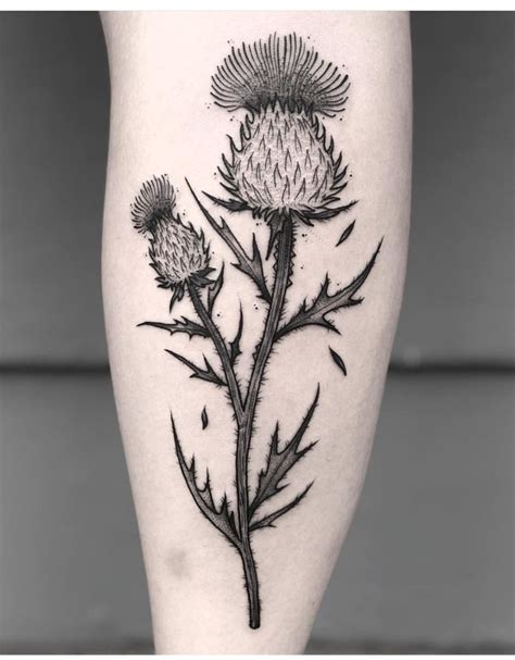 Black And White Scottish Thistle Tattoo On Leg