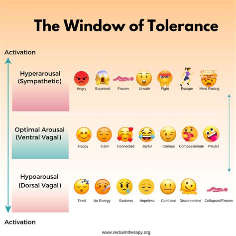 Understanding Your Window Of Tolerance Trauma Therapy Helps