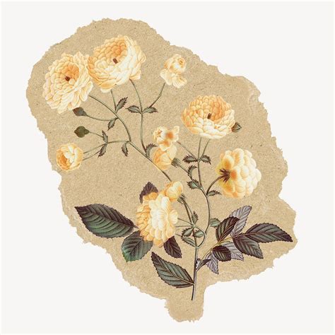 Vintage Flowers Sticker Ripped Paper Free PSD Illustration Rawpixel