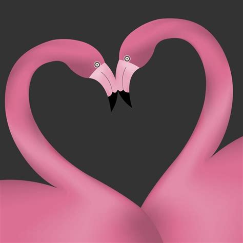 Premium Vector Two Pink Flamingos In Love Forming A Heart Vector Illustration