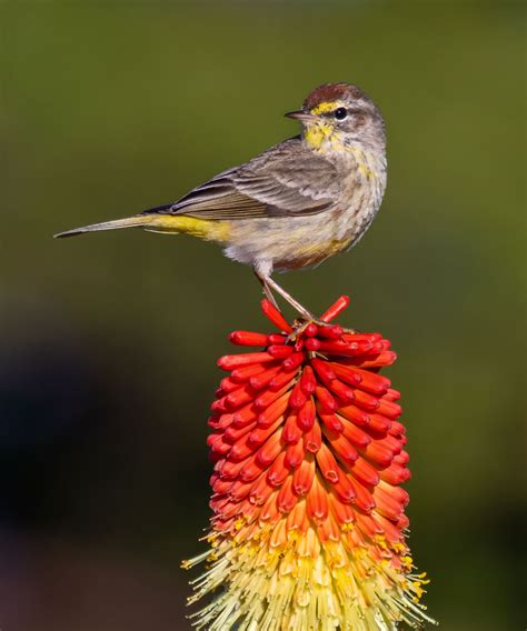 Catch of the Day: the Lonely Lifer – Carla Brennan's Blog