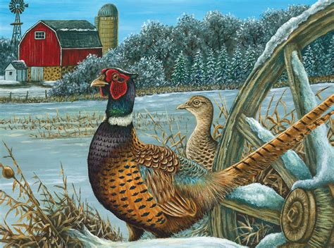 dnr announces 2022 wild turkey waterfowl and pheasant stamp design contest winners wisconsin dnr