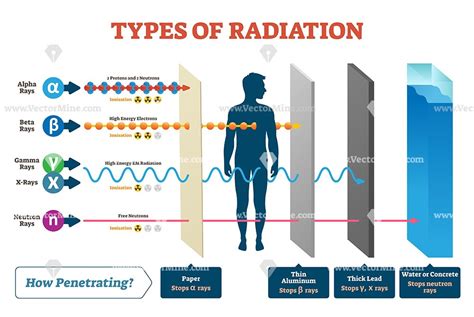 Types Of Radiation Vector Illustration Diagram Physics And
