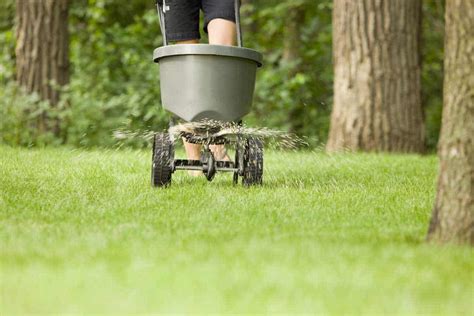 How To Water Lawn After Fertilizer 4 Of The Best Lawn Fertilizer For