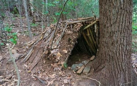 Simple Survival Shelters You Have To Know Defiel