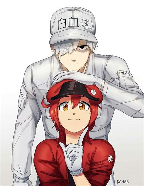 Halloween ladies costumes anime cells at work costume erythrocite red blood cell and white blood. Pin on Cell at work