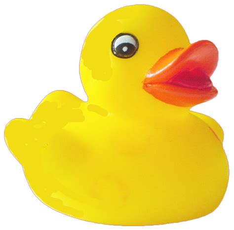 Rubber Duck Png Free Download Clip Art Free Clip Art On Clipart