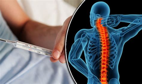 Back Pain Discomfort Around Spine Could Be A Bone Infection Called