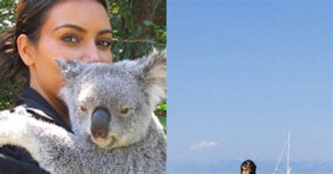 kim kardashian befriends a koala—see the pics e news