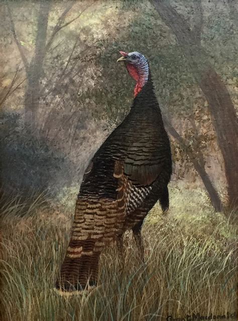 Grant Macdonald Wild Turkey 678 Texas Art Vintage Texas