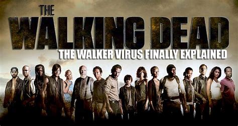 Most of the knifes they use are not long enough to reach the brain and so walkers are essentially just being stabbed in the the rest of season 8 would just go like 7. Episode 15 of 'The Walking Dead' Season 5 was a Downer ...