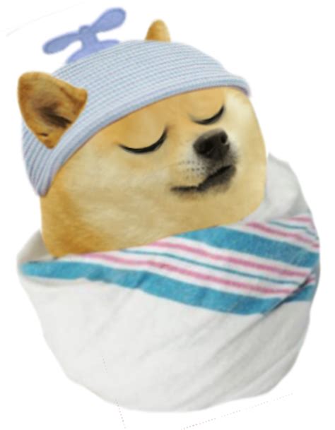 Doge Meme Transparent Background Cheems Png Image Dogepng Roblox